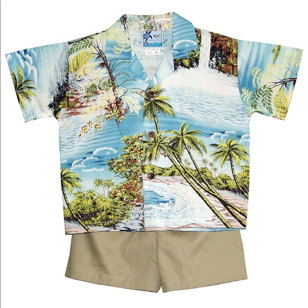 Toddler Boy’s Hawaiian Shirt & Shorts